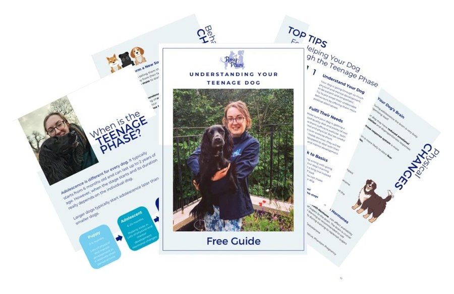 Pages from Rosy’s free guide, Understanding Your Teenage Dog