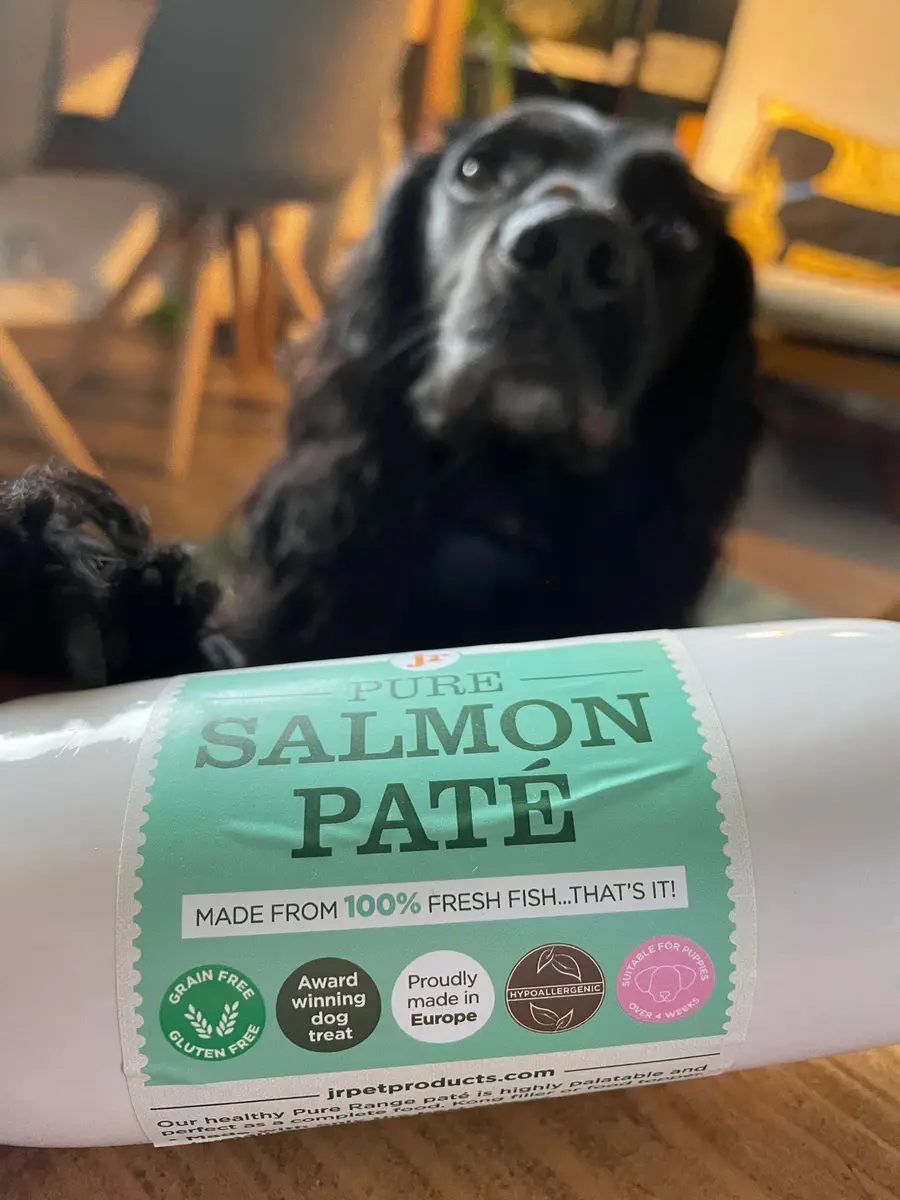 A black spaniel looking at a roll of salmon pâté dog treat