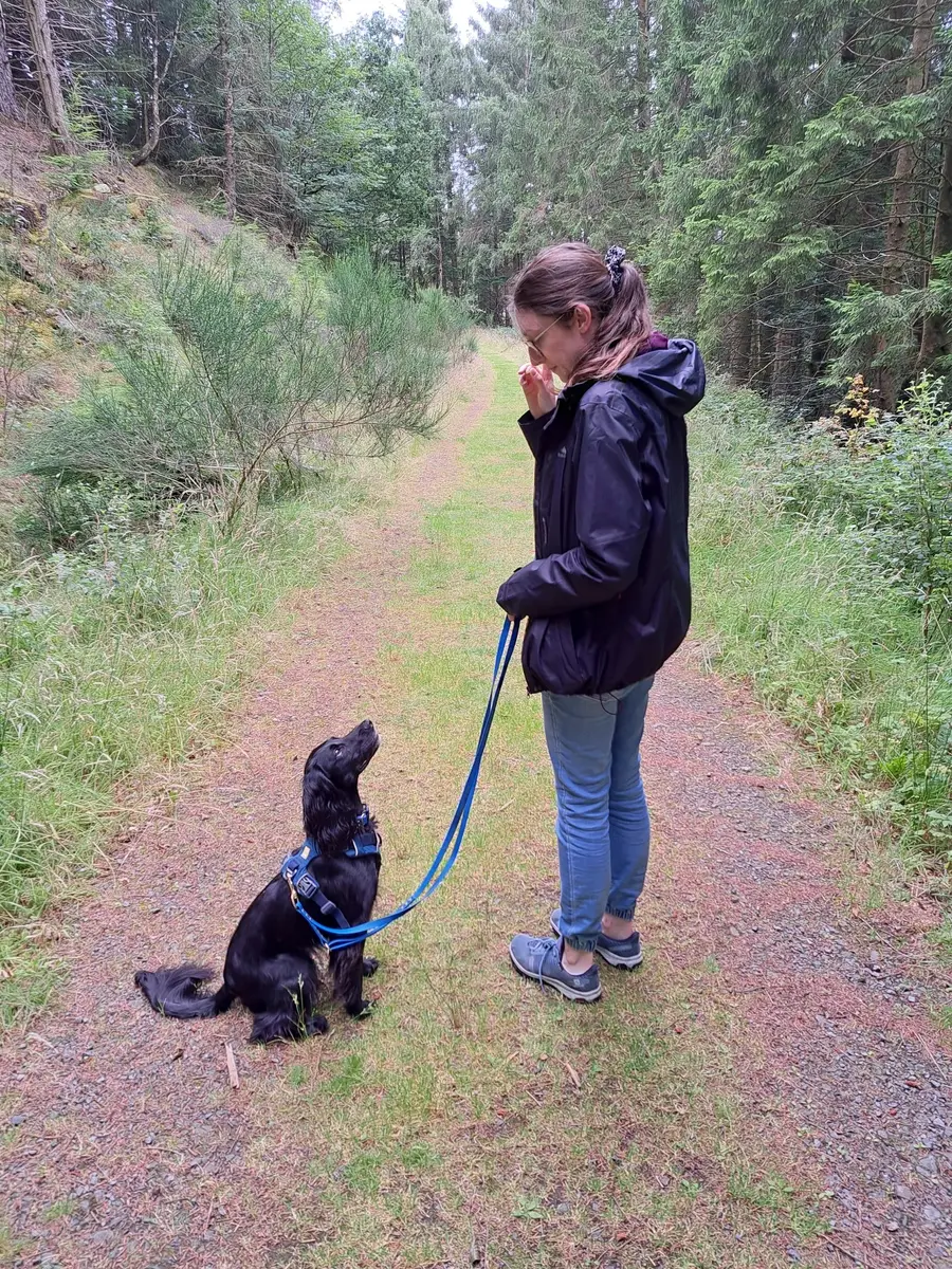 A woman asking her black spaniel puppy to sit on a forest path