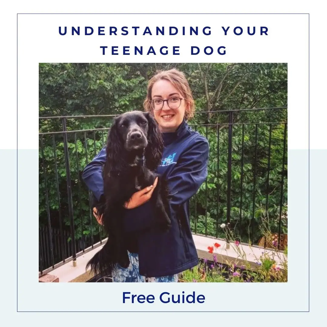 Cover of Rosy’s free guide, Understanding Your Teenage Dog, showing Rosy holding her spaniel