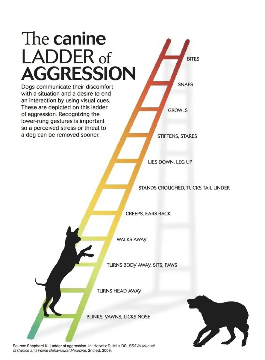 The canine ladder of aggression, from blinking, yawning and licking the nose at the bottom up to growling, snapping and biting at the top