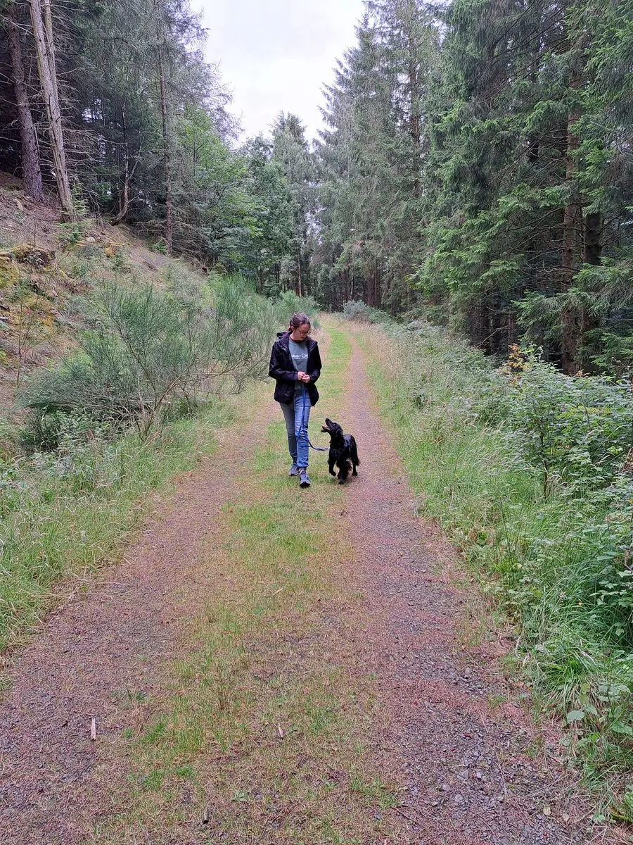 A woman walking a small black dog along a forest track