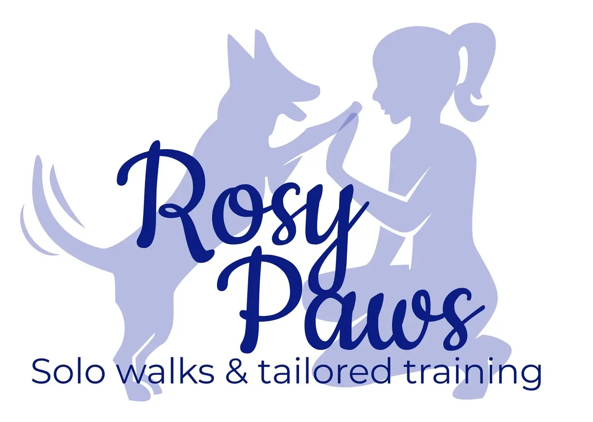The Rosy Paws logo, a woman high fiving a dog, with the words solo walks and tailored training