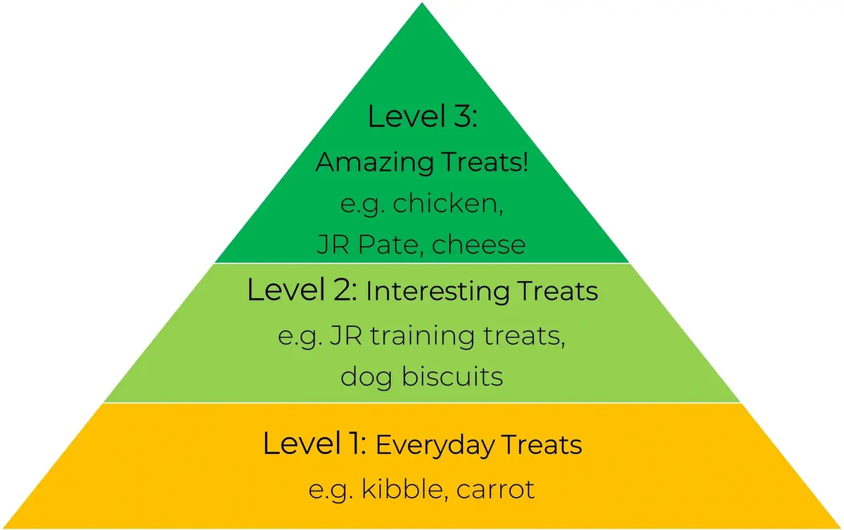 A treat pyramid: level 1 everyday treats like kibble and carrot, level 2 interesting treats like training treats and dog biscuits, level 3 amazing treats like chicken, pâté and cheese
