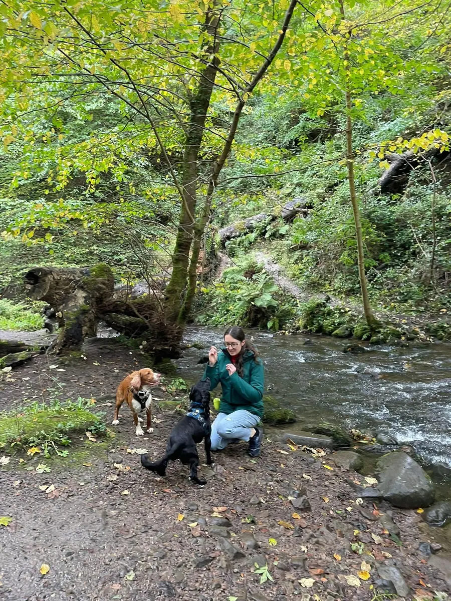 Rosy crouching with two dogs by the Water of Leith