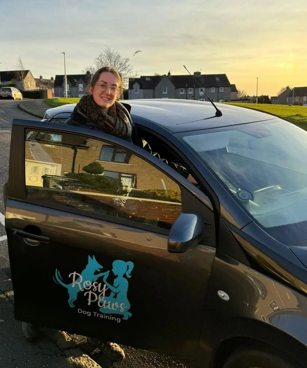 Rosy with her Rosy Paws Dog Training car