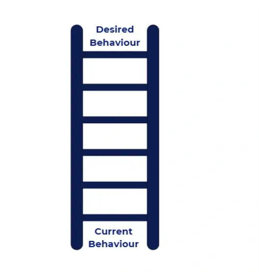 A ladder with current behaviour at the bottom and desired behaviour at the top