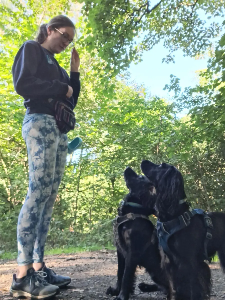 A woman in the woods asking two black dogs to wait