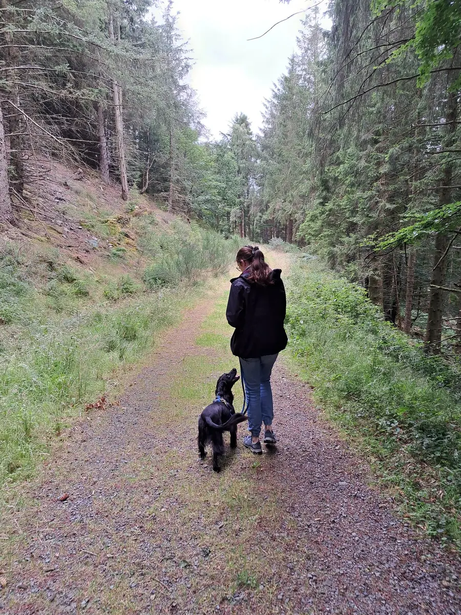 A woman walking a black spaniel on a loose lead along a forest track