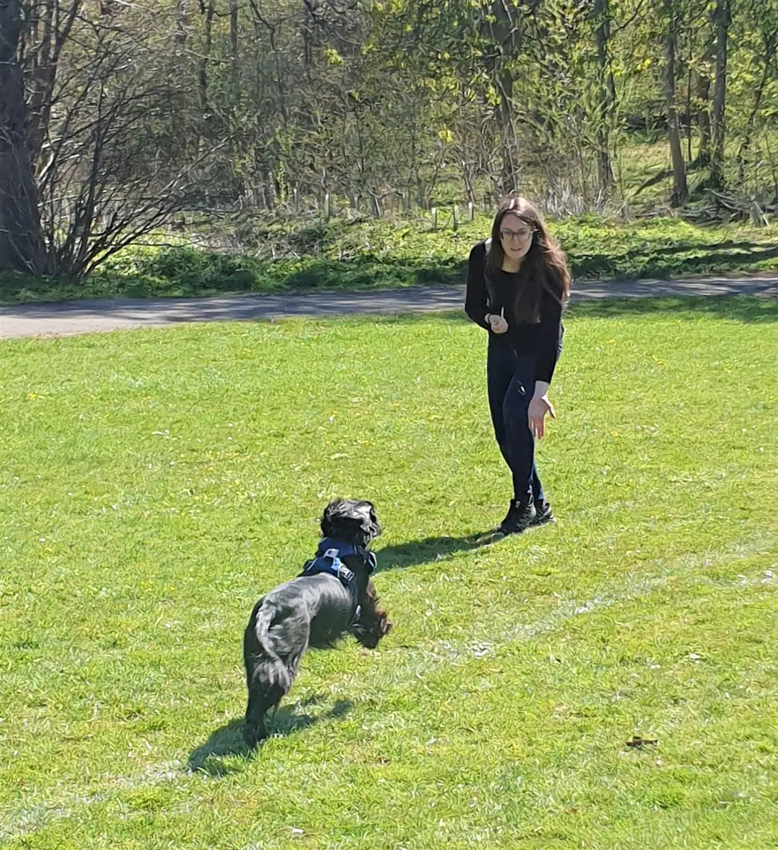 A woman using a whistle to call her dog back in the park