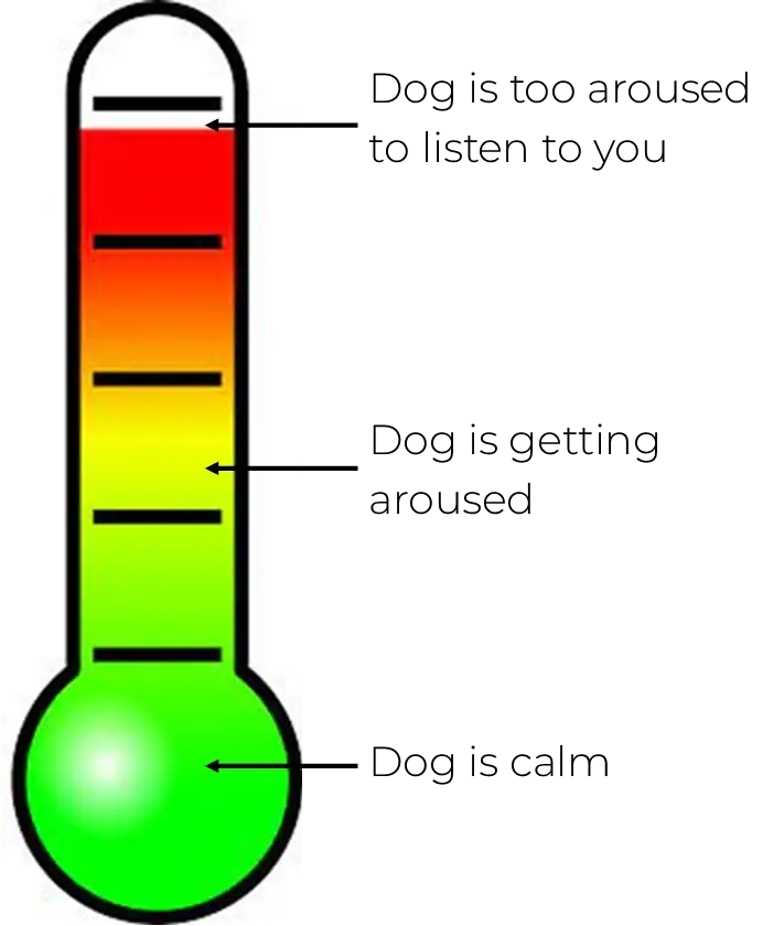 An arousal thermometer, from dog is calm at the bottom, to dog is getting aroused, to dog is too aroused to listen to you at the top