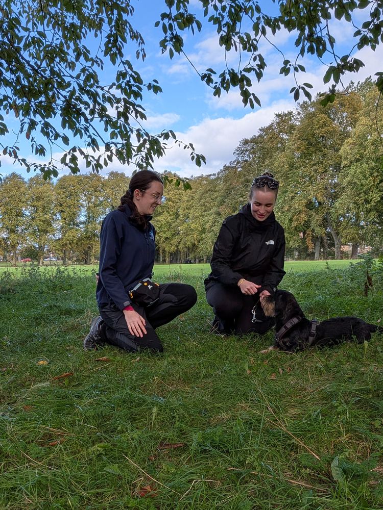Rosy kneeling on the grass with an owner and their Dachshund in the park