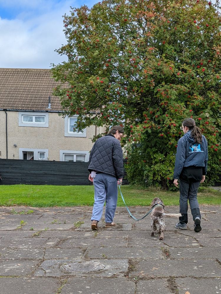 Rosy walking alongside an owner and their spaniel outside their home