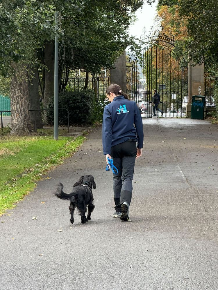 Rosy walking her spaniel on a loose lead through a park